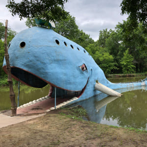 The Blue Whale